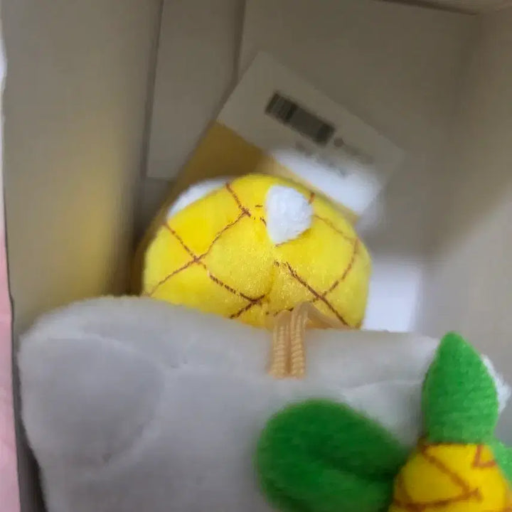 [BUNJANG] Vintage Hello Kitty Fruit Box Set / 고전 키티 과일박스 2종 세트