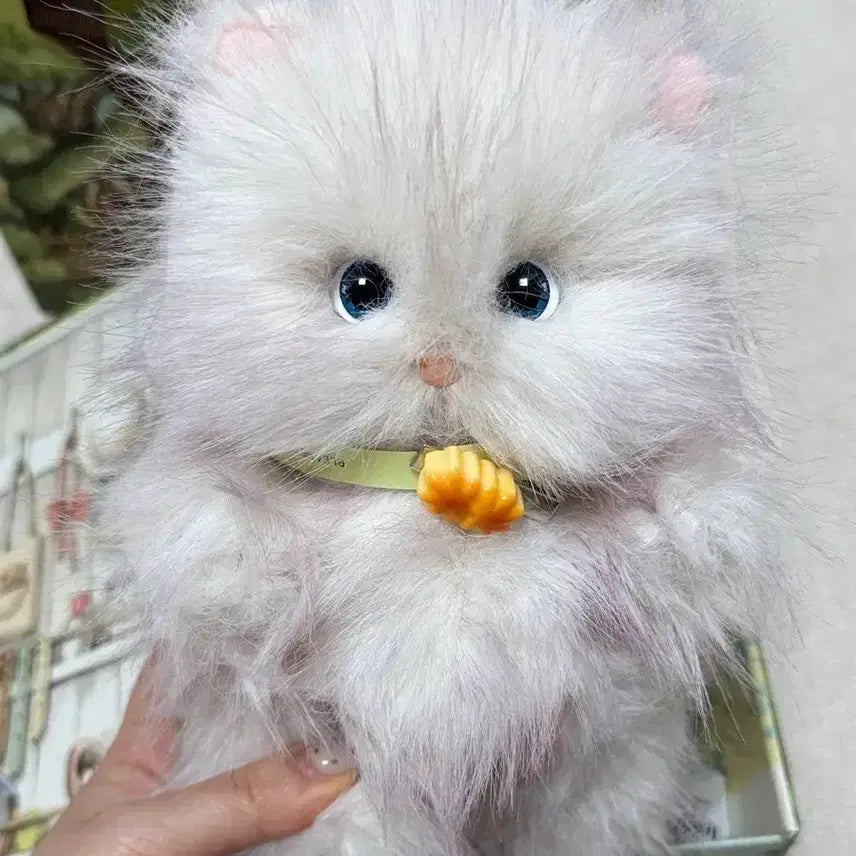 [BUNJANG] Teddy Tales Lena Cat Persian Edition S Size Plush / [한정판]테디테일즈 새상품 페르시안 솜사탕(희귀) 레나캣 S사이즈