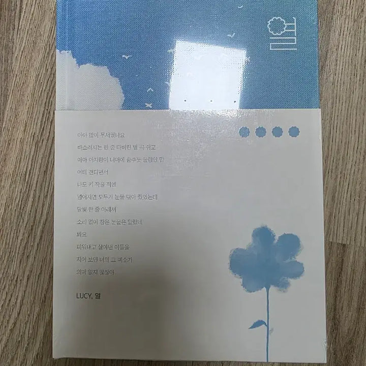 [BUNJANG] Lucy 열 Album Sealed / 루시 열 앨범 미개봉