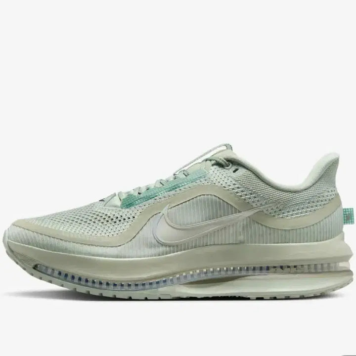 [BUNJANG] Nike Pegasus Premium / (새제품) 나이키 페가수스 프리미엄