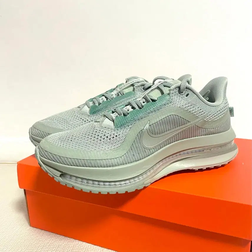 [BUNJANG] Nike Pegasus Premium / (새제품) 나이키 페가수스 프리미엄