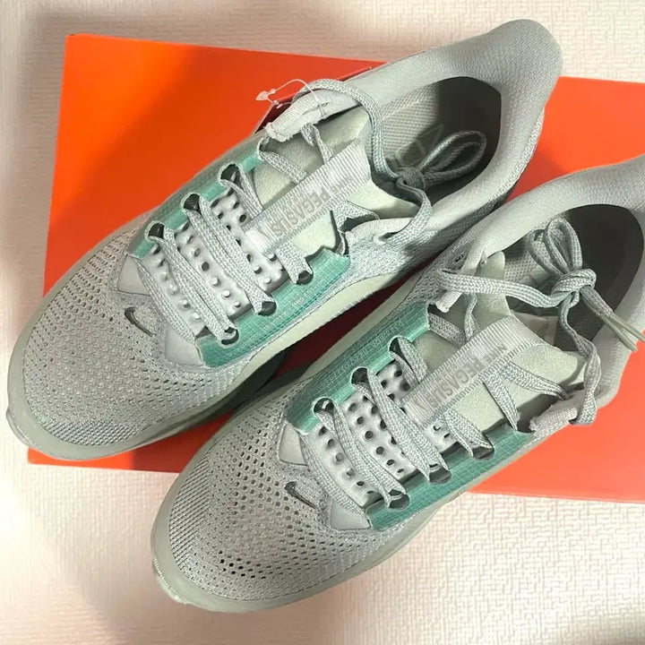 [BUNJANG] Nike Pegasus Premium / (새제품) 나이키 페가수스 프리미엄