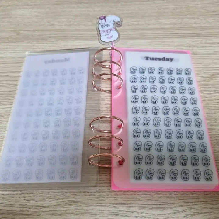 [BUNJANG] Esther Bunny Acrylic Binder Set / 에스더버니 아크릴바인더 세트