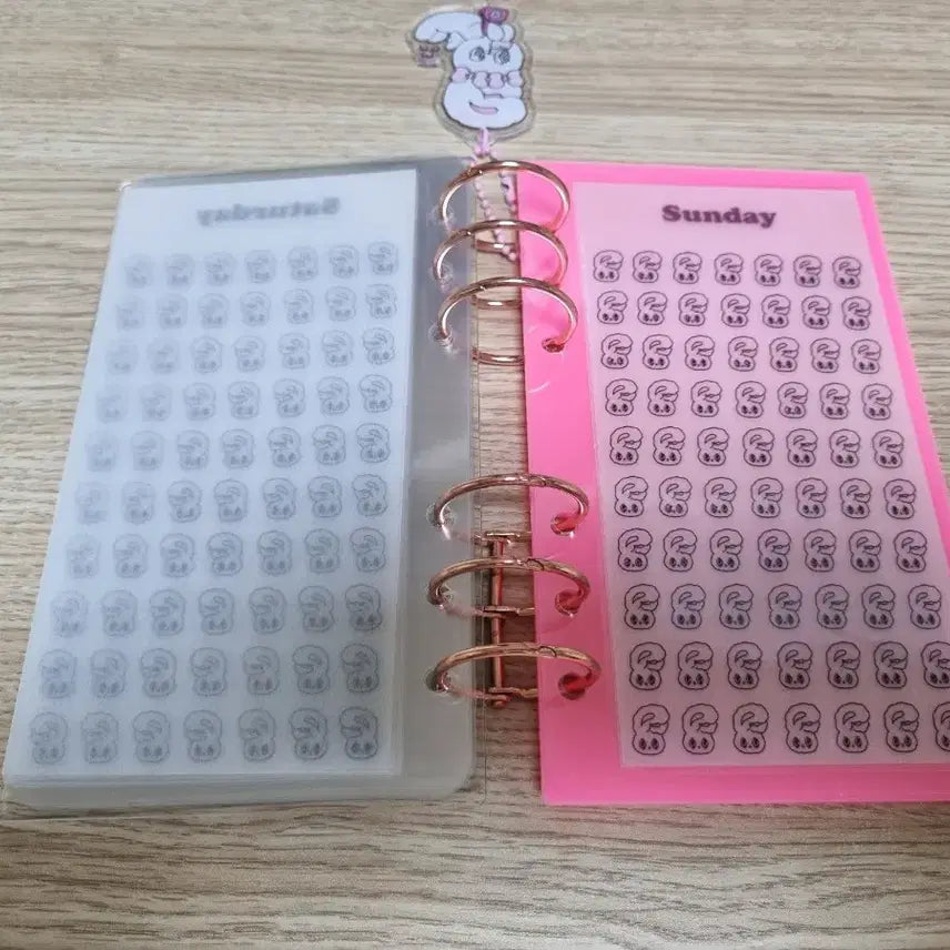 [BUNJANG] Esther Bunny Acrylic Binder Set / 에스더버니 아크릴바인더 세트