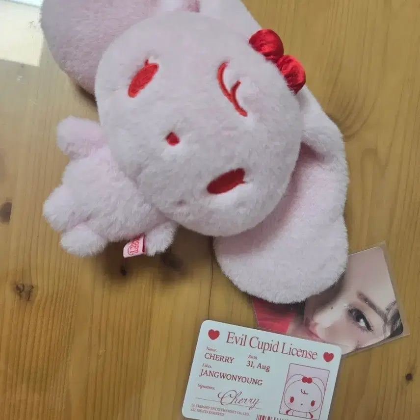 아이브 원영 인형 아부부