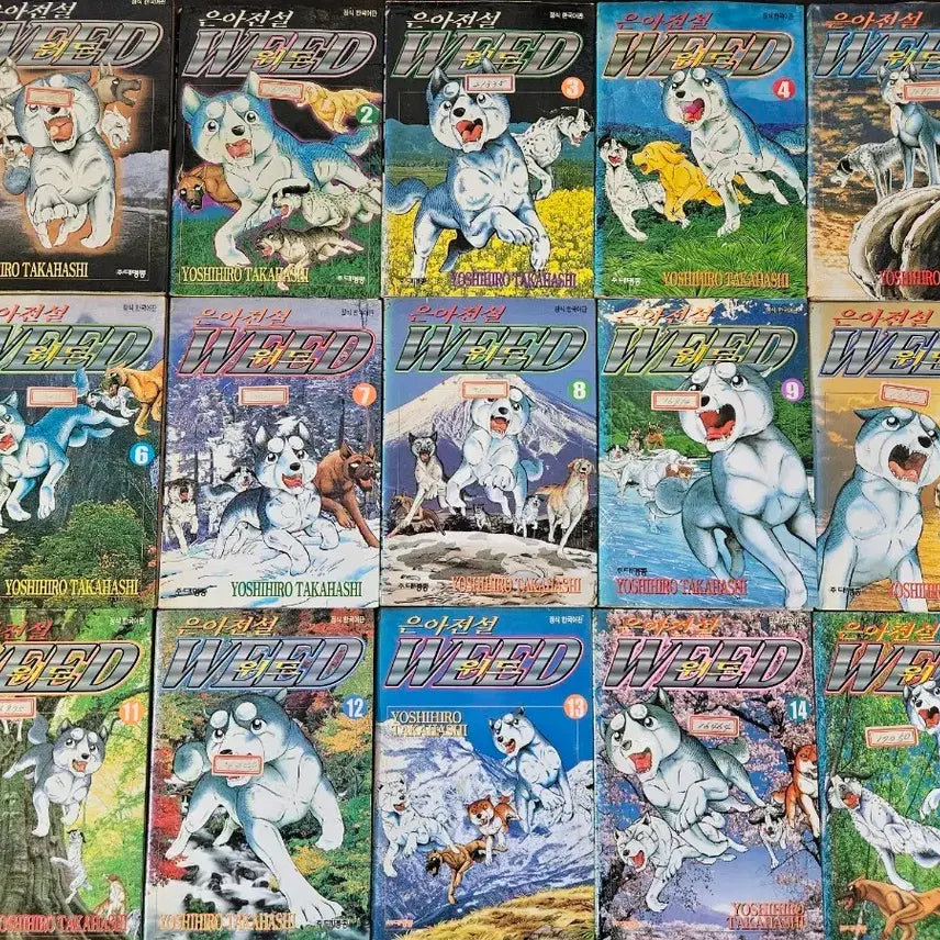 [BUNJANG] Eun-A Jeonseol With 60 Complete Comic Book / 만화책 은아전설위드60완 팝니다