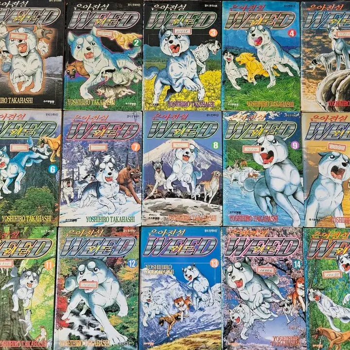 [BUNJANG] Eun-A Jeonseol With 60 Complete Comic Book / 만화책 은아전설위드60완 팝니다