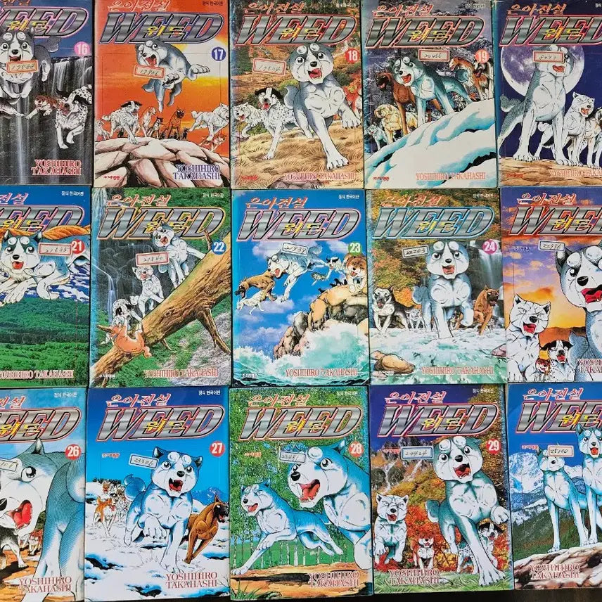 [BUNJANG] Eun-A Jeonseol With 60 Complete Comic Book / 만화책 은아전설위드60완 팝니다