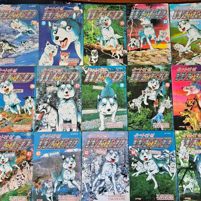 [BUNJANG] Eun-A Jeonseol With 60 Complete Comic Book / 만화책 은아전설위드60완 팝니다