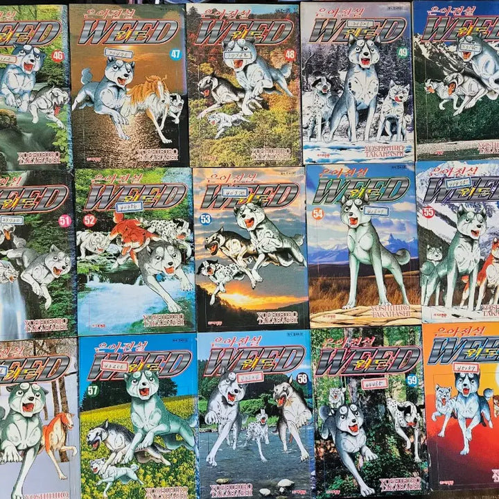 [BUNJANG] Eun-A Jeonseol With 60 Complete Comic Book / 만화책 은아전설위드60완 팝니다