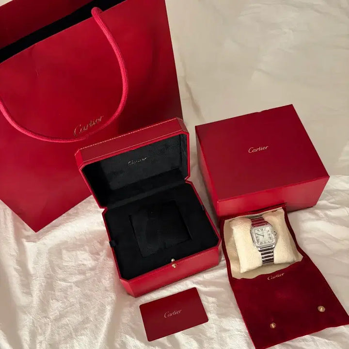 [BUNJANG] Cartier Santos Medium / 까르띠에 산토스 미디움