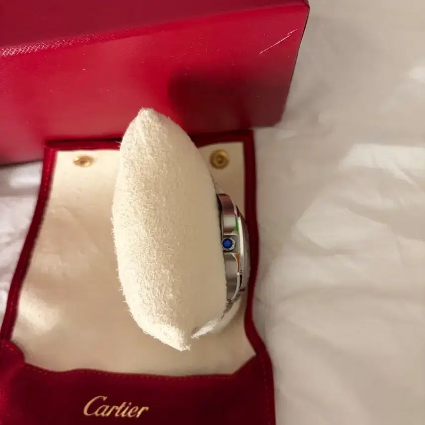 [BUNJANG] Cartier Santos Medium / 까르띠에 산토스 미디움