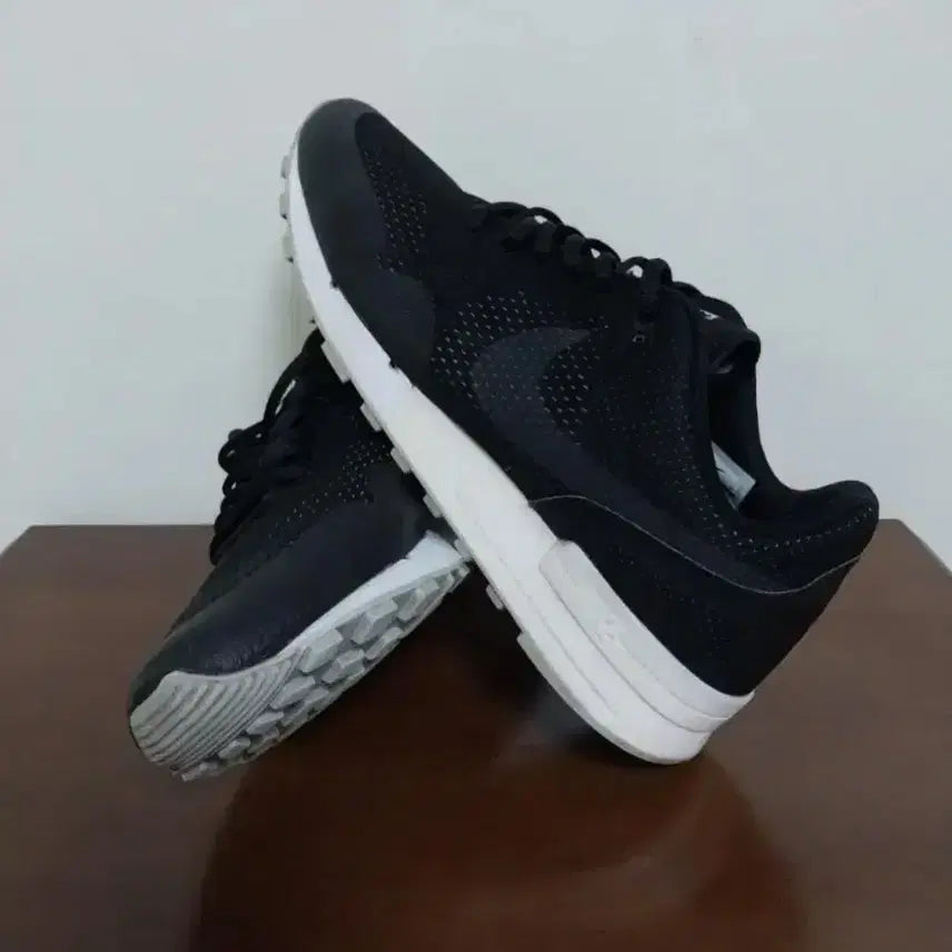 [BUNJANG] Nike Air Pegasus 89 EGD Training Shoes (270) / 남성 나이키 에어 페가수스 89 EGD 트레이닝화, 운동화 (270)