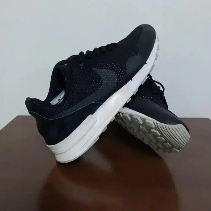 [BUNJANG] Nike Air Pegasus 89 EGD Training Shoes (270) / 남성 나이키 에어 페가수스 89 EGD 트레이닝화, 운동화 (270)
