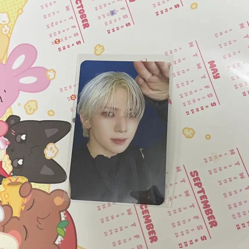 에이티즈 여상 메이크스타 쓰담쓰담 럭드 포카 포토카드 ateez