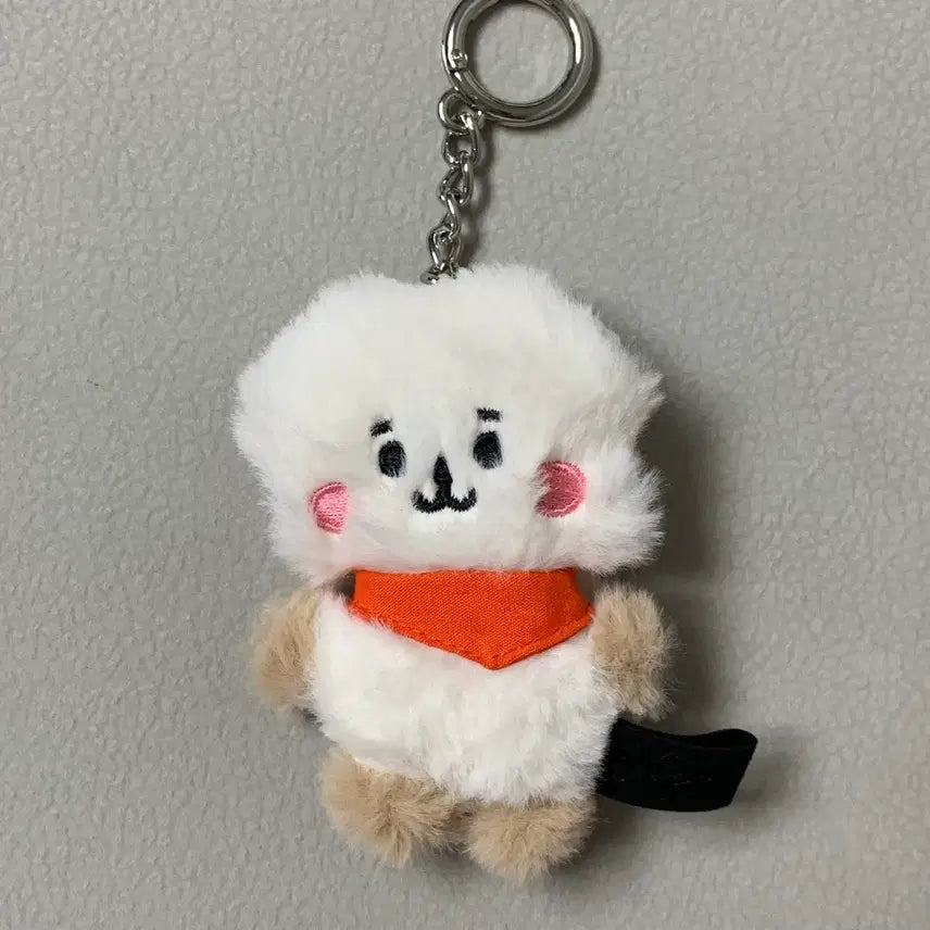 BTS 방탄소년단 BT21 플랫퍼 키링 알제이 RJ 진 석진 Jin