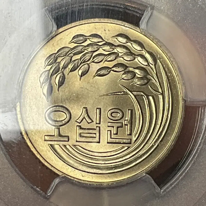 [BUNJANG] 1982 50 Won MS67 Coin / 1982년 50원 최고등급 MS67