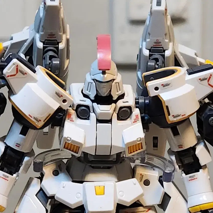 [BUNJANG] RG Tool Guts Model Kit / [RG][가조립] 툴기스