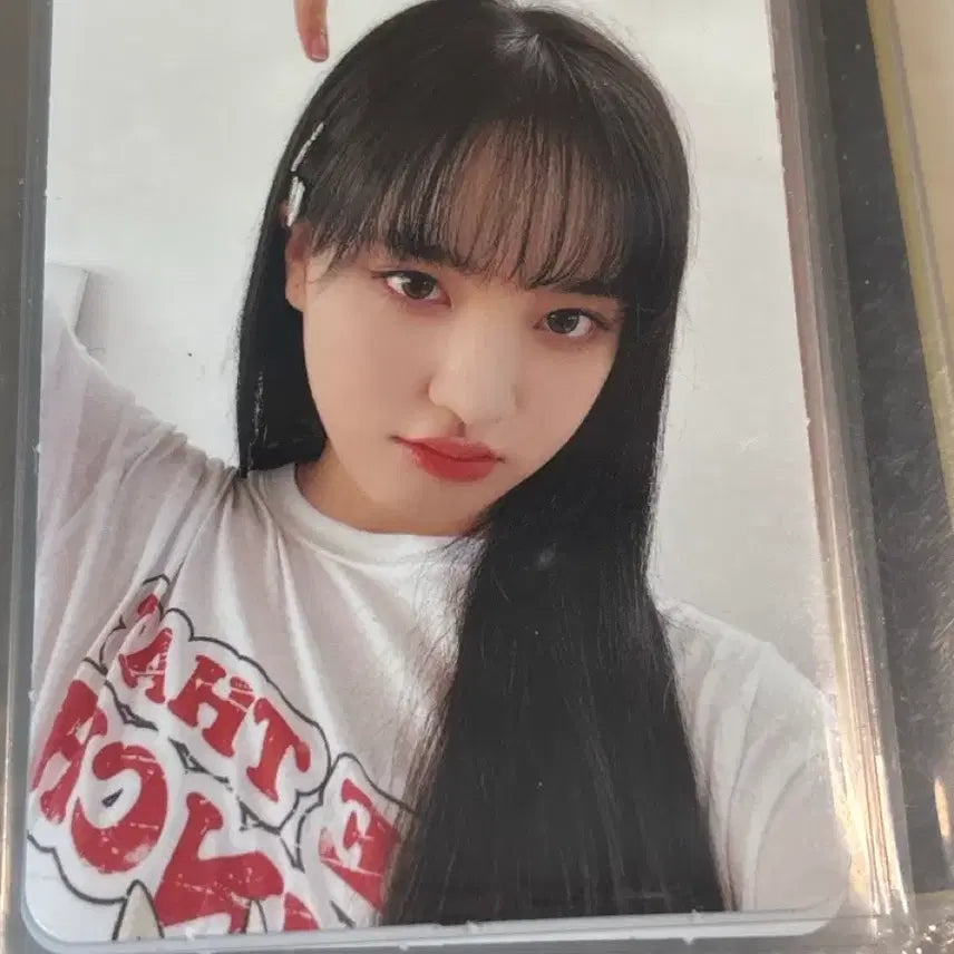 2023 아이브 시그 포카(일괄판매)