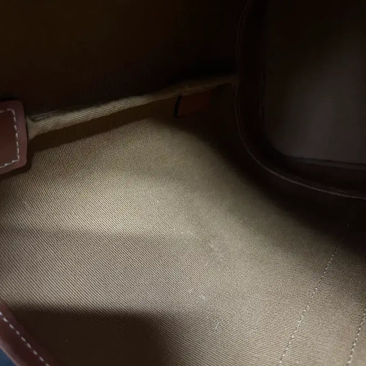 [BUNJANG] Celine Triomphe Bucket Bag Small / 셀린느 트리오페 버킷백 스몰