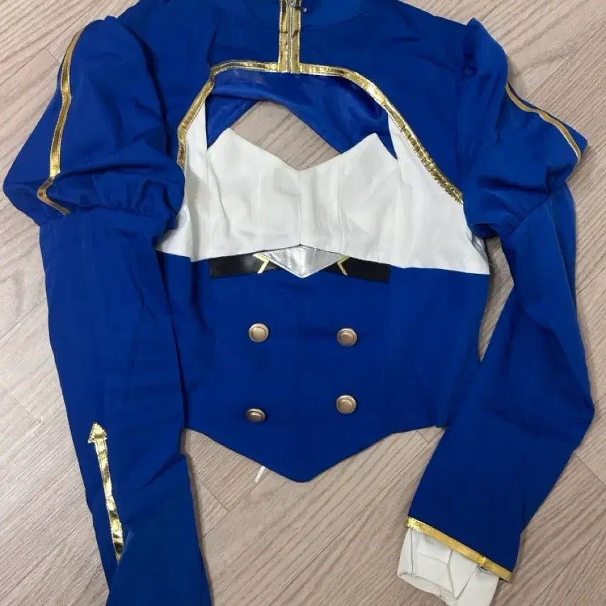 [BUNJANG] Fate Saber Honkai: Star Rail Cosplay Costume / (급전)페이트 세이버 붕괴스타레일 코스프레 의상 양도