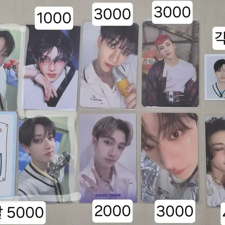 스키즈 방찬 포카 증사 앨포 특전 스테이 포토카드