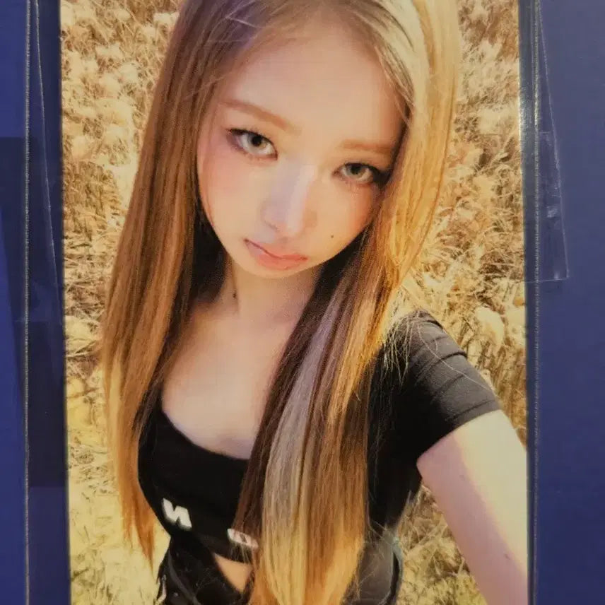 아이브 BANGBANG 레이 공방포카 판매 양도합니다