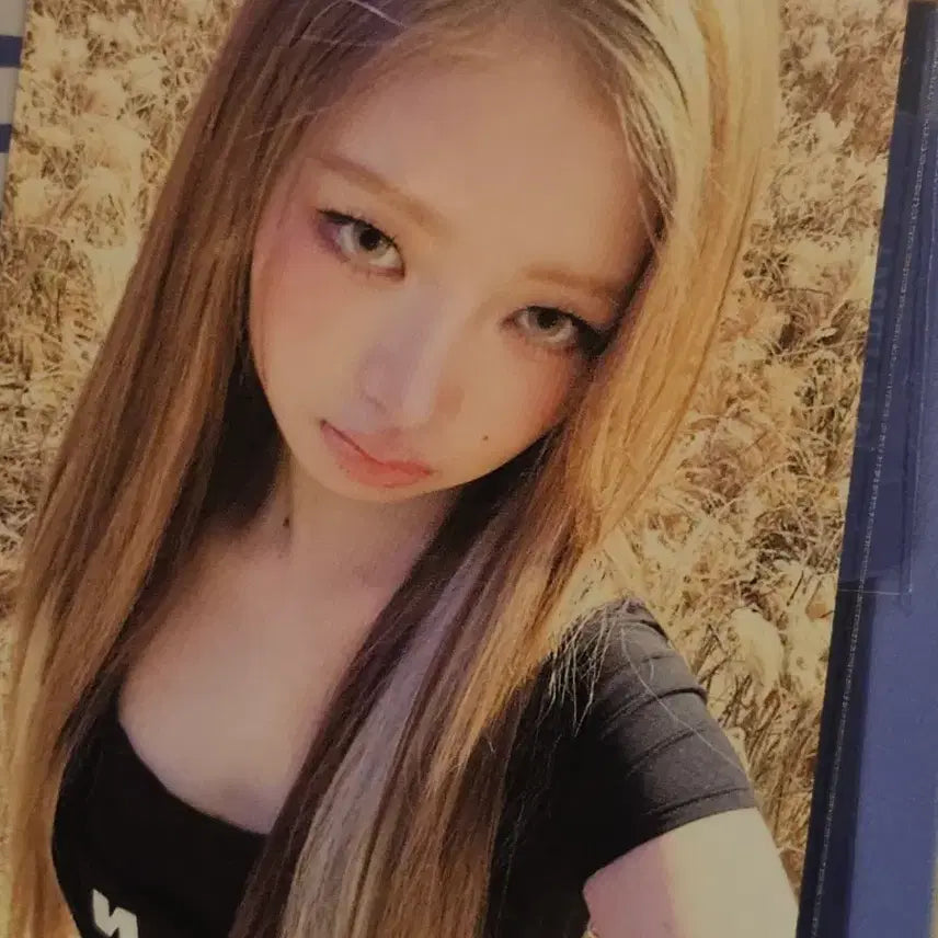 레이 뱅뱅 공방포카 양도