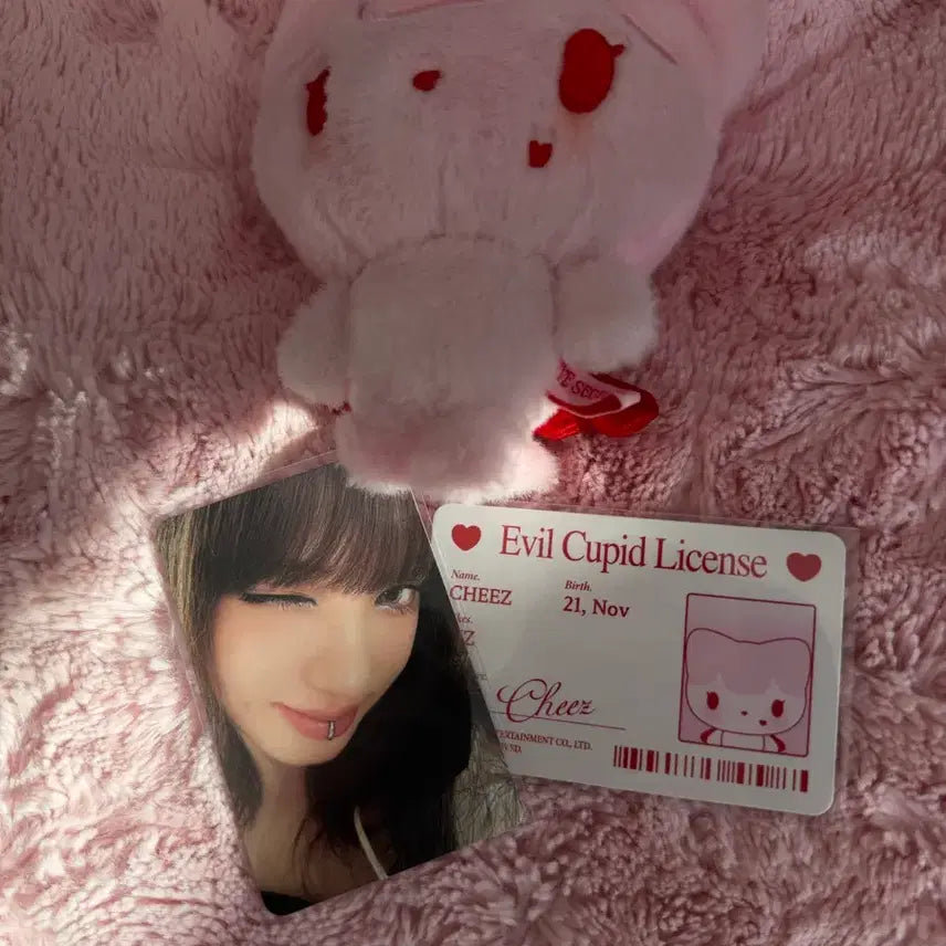 당일배송)아이브 리즈 시크릿 인형판매