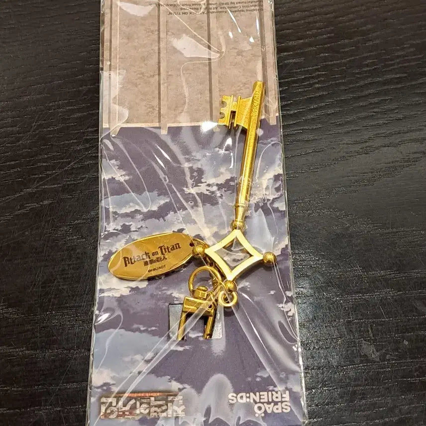 [BUNJANG] SPAO Attack on Titan Basement Key Keychain / 스파오 진격의 거인 열쇠 키링, 희소 인기 정품 판매합니다!
