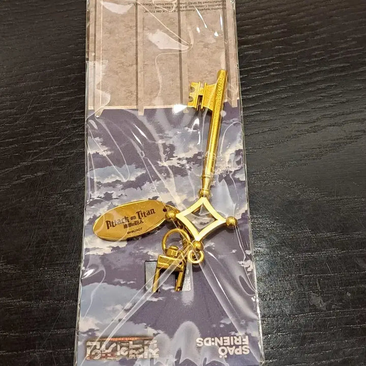 [BUNJANG] SPAO Attack on Titan Basement Key Keychain / 스파오 진격의 거인 열쇠 키링, 희소 인기 정품 판매합니다!