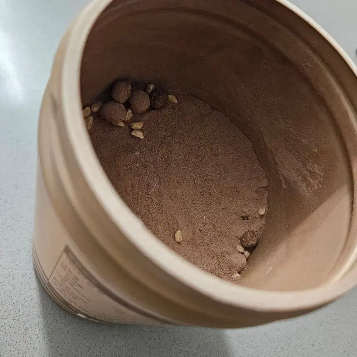 [BUNJANG] Benoft Protein Shake Chocolate Hazelnut Latte / 베노프 초코 단백질 쉐이크