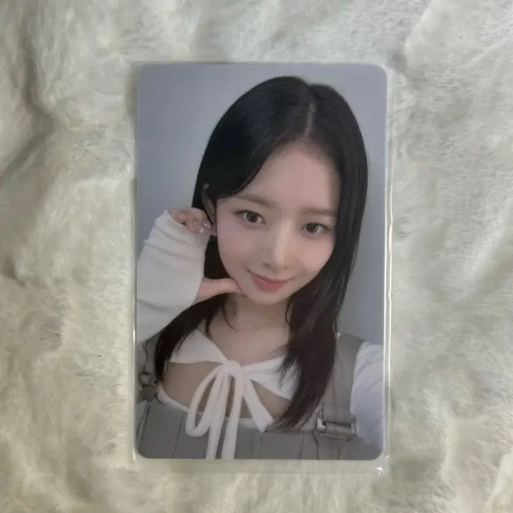 아이브 레이 포카 판매합니다