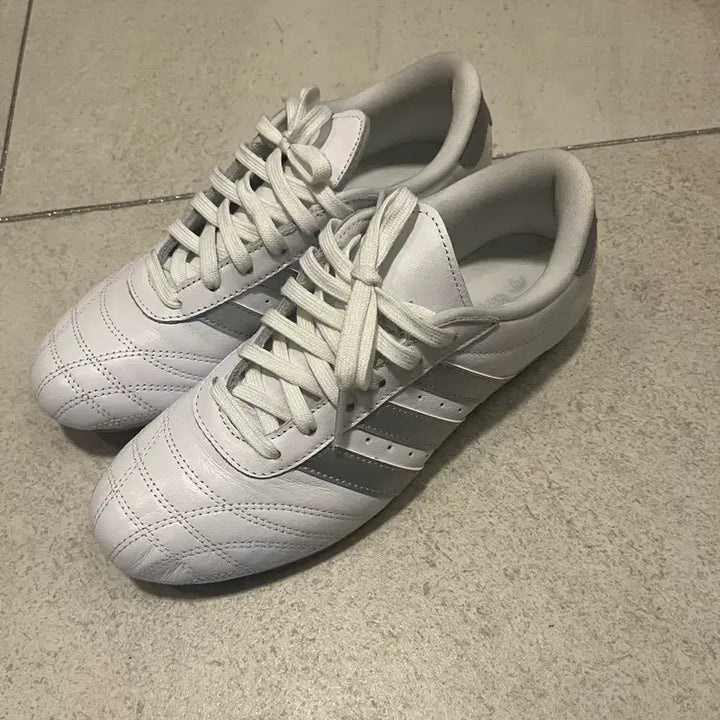 [BUNJANG] Taekwondo Lace White/Silver Shoes / 태권도 레이스 - 화이트:실버