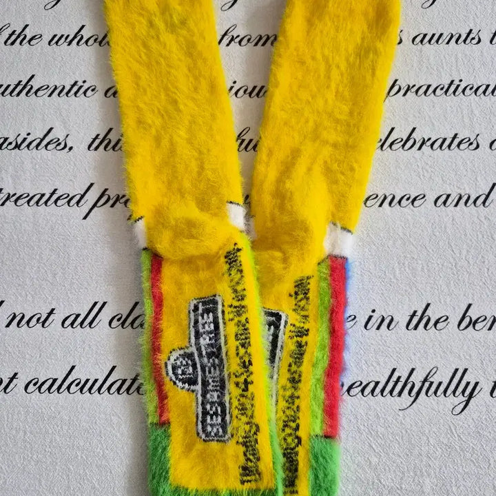 [BUNJANG] Sesame Street Bert &amp; Ernie Socks Set / 세서미 스트리트 버트,어니 양말 세트