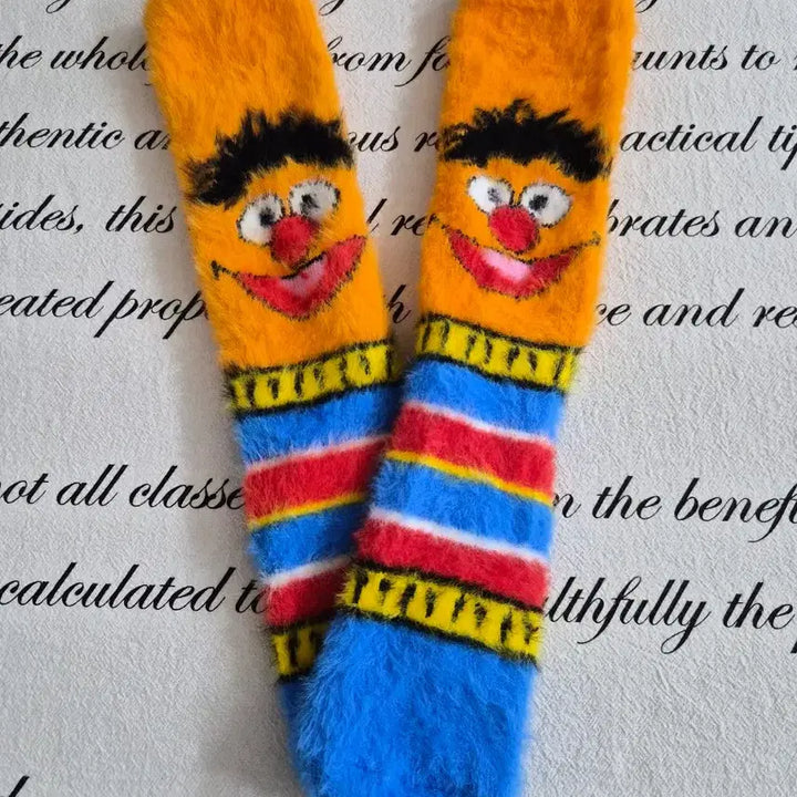 [BUNJANG] Sesame Street Bert &amp; Ernie Socks Set / 세서미 스트리트 버트,어니 양말 세트