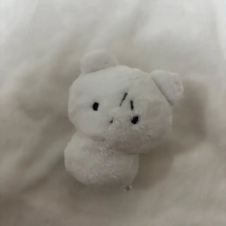 [BUNJANG] Xikers Junghoon Ungomi Doll / 보넥도 운학 인형 운아곰 양도