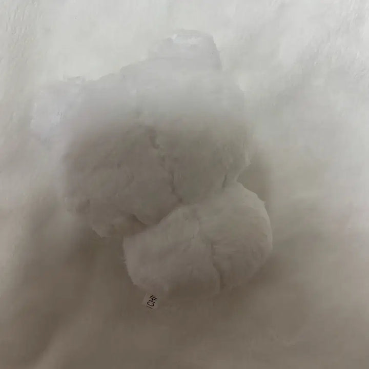 [BUNJANG] Xikers Junghoon Ungomi Doll / 보넥도 운학 인형 운아곰 양도