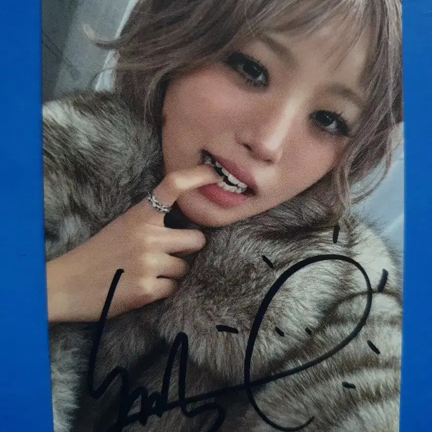 영파씨 VISA 싸인공방포카