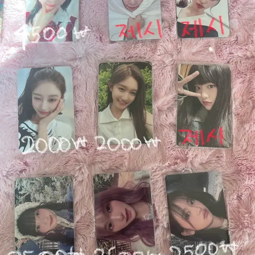 아이브 포카 급처