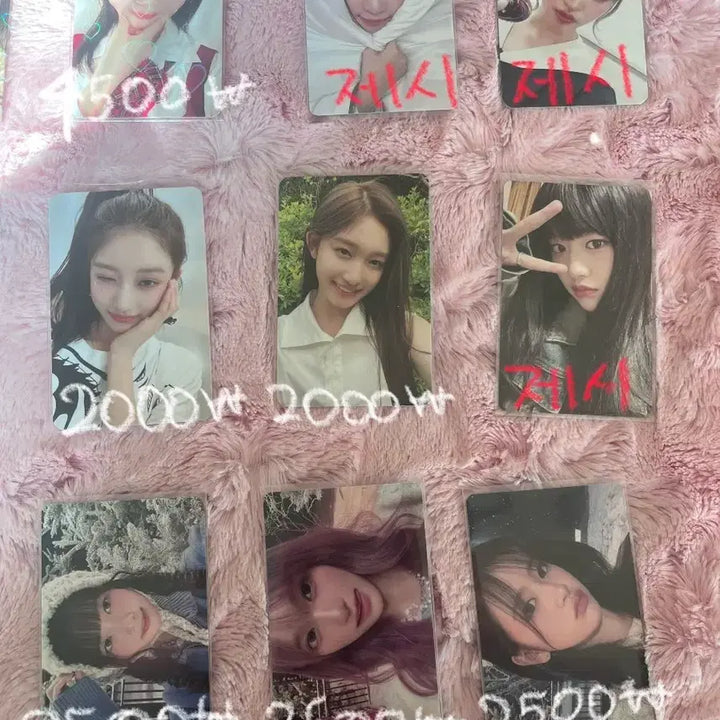 아이브 포카 급처