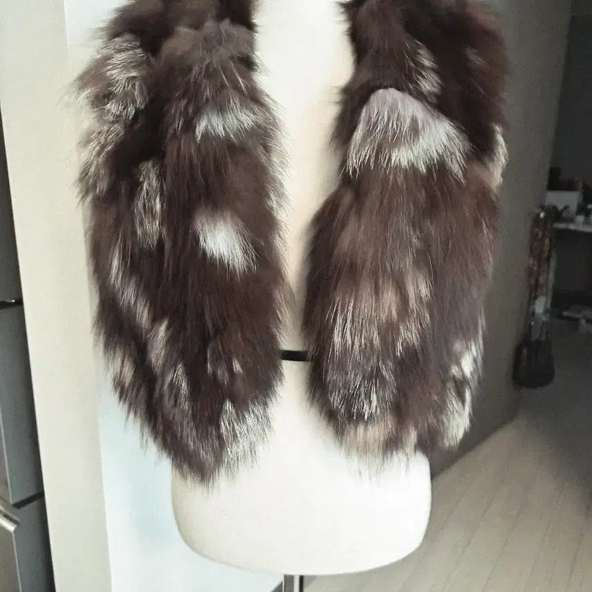 [BUNJANG] Fox Fur Mix Color Vest / (천연/폭스) 믹스 배색 퍼 베스트 / 조끼 판매합니다 (거의 새것)