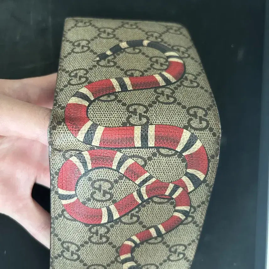 [BUNJANG] Gucci Snake Bi-fold Wallet / Gucci 스네이크 반지갑