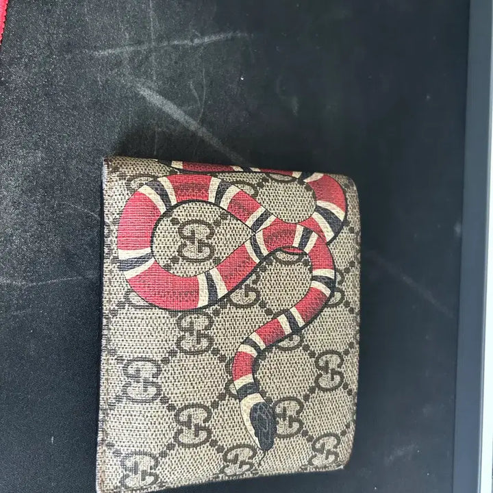 [BUNJANG] Gucci Snake Bi-fold Wallet / Gucci 스네이크 반지갑