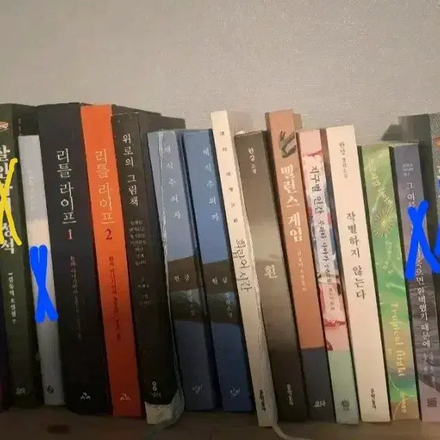 [BUNJANG] Various Novels Book Bundle / 흰, 채식주의자, 지구별 인간 등 소설책 팝니다!