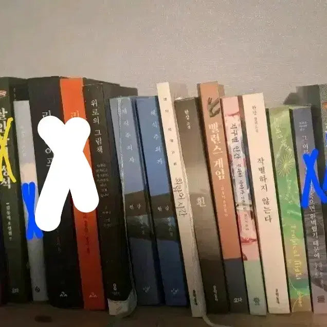 [BUNJANG] Various Novels Book Bundle / 흰, 채식주의자, 지구별 인간 등 소설책 팝니다!