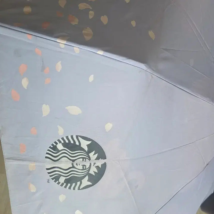 [BUNJANG] Starbucks Umbrella / 스타벅스 하늘색 우산