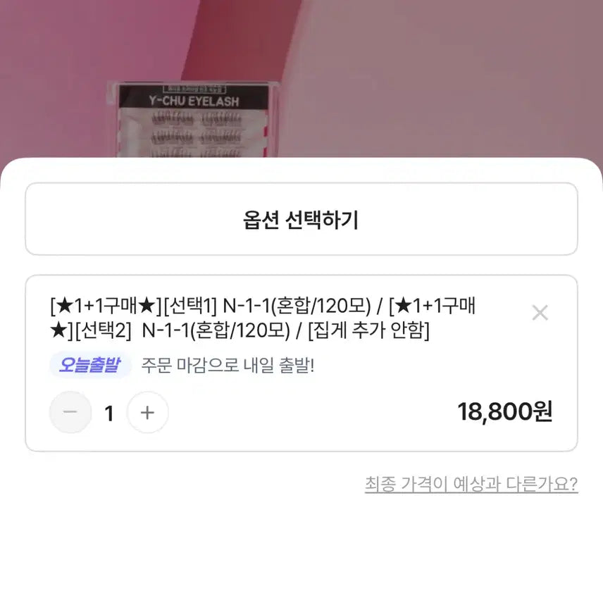 [BUNJANG] No Glue Eyelashes / 노글루 속눈썹