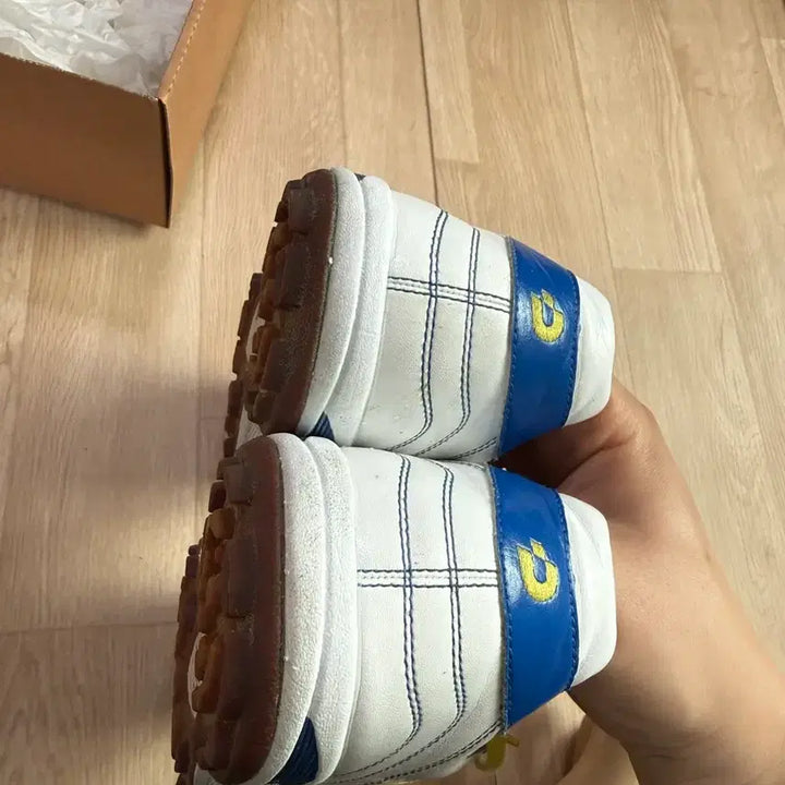 [SOLD OUT] 285) 데스포르치 캄피나스 JTF5 LTD