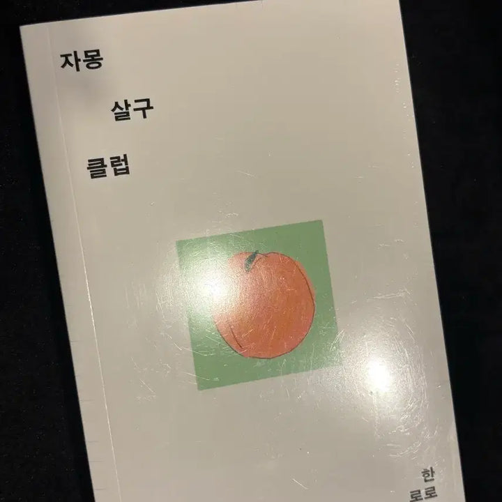 [BUNJANG] Hanroro Grapefruit Apricot Club Book - Sealed / 미개봉] 한로로 자몽살구클럽 책